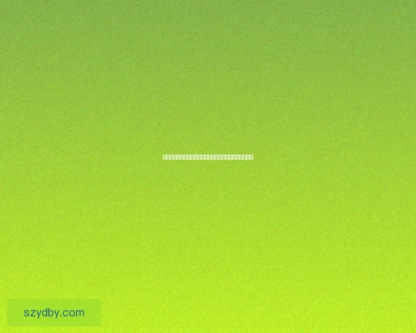 提升手游体验的秘密武器全面解析手游加速技术与应用方案